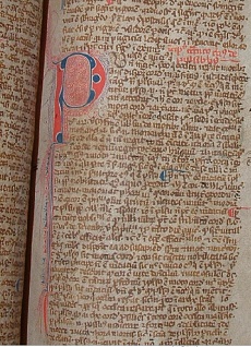 Pen-flourished initial from the Bernard of Gordon manuscript