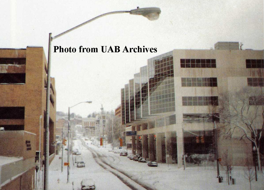 Snow lines a street in downtown Birmingham