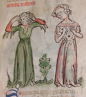 Illustration of two women from the Arnold of Villanova manuscript