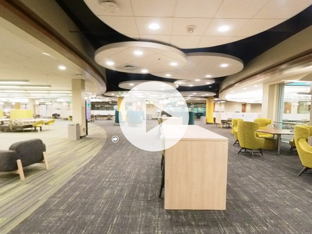 Take a virtual tour of Sterne Library's first floor